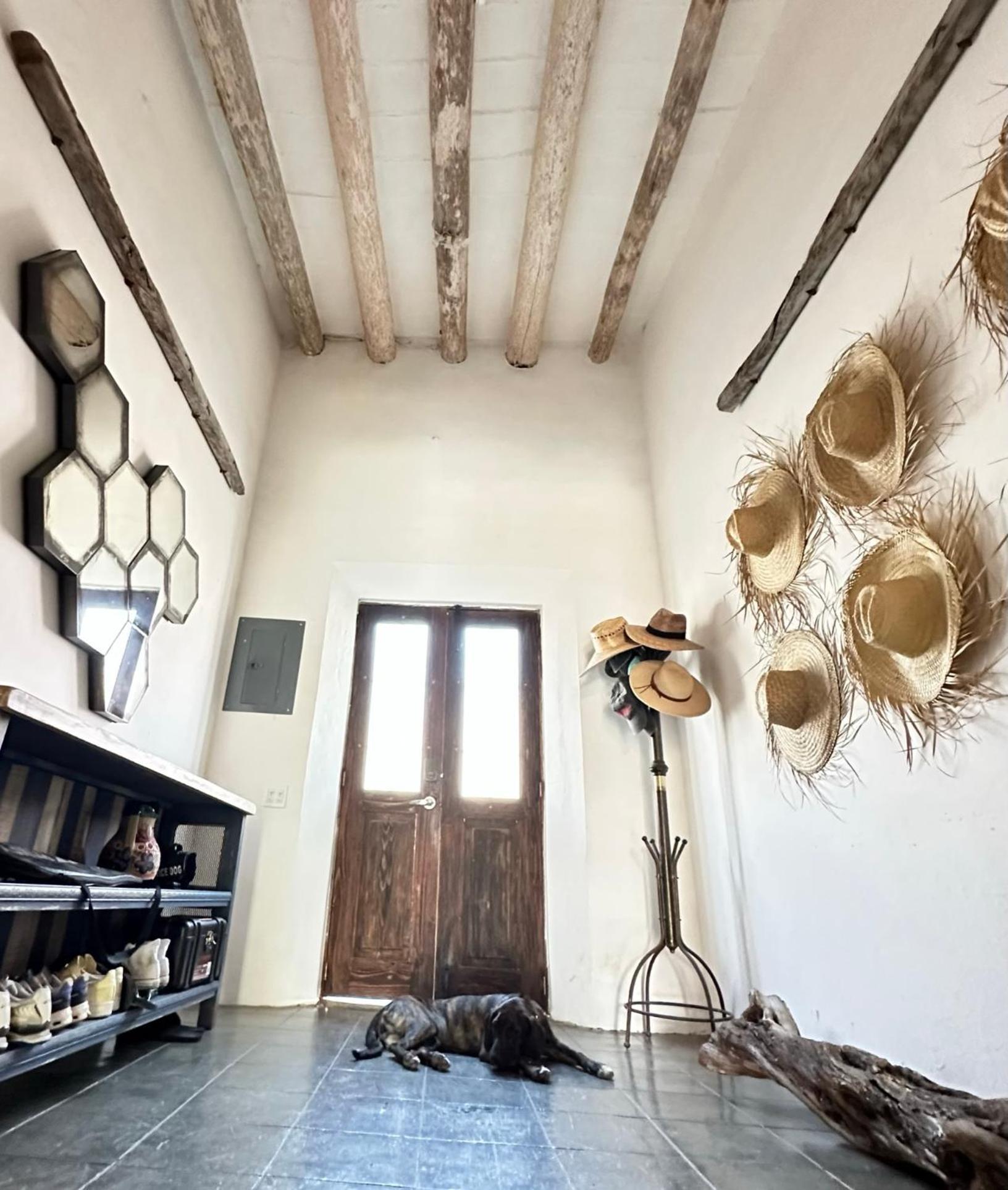 Baja House Hotell Todos Santos Exteriör bild